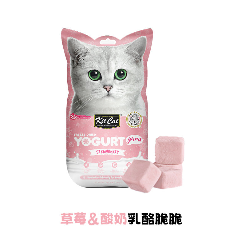 Kit Cat Cheese Crunchy Treats乳酪脆脆