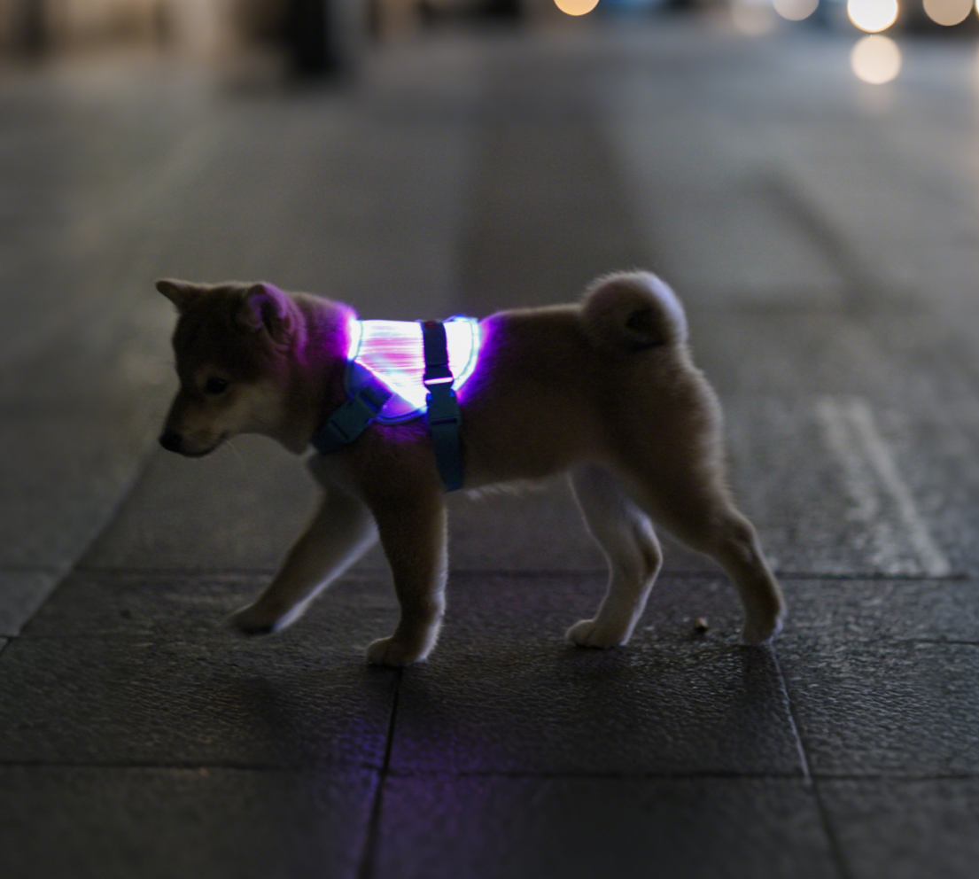 MOZ PAWTY · BEACON SevenGlow Harness – 7 Colors · 11 Light Modes | LED Fiber-Optic Dog Harness