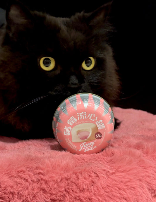 [FurryTail] Strawberry · Pigeon Meat · Goat Milk Lava Cake Cat Wet Food