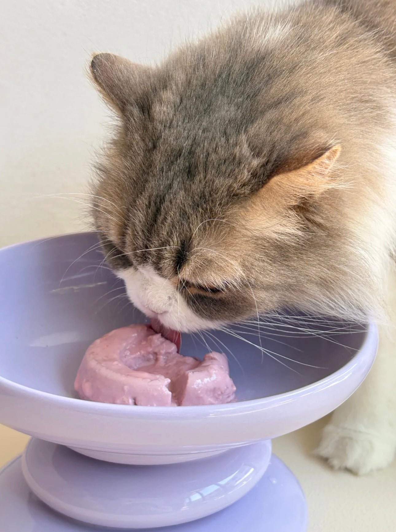 [FurryTail] Rabbit & Açaí Berry Lava Cake Cat Wet Food