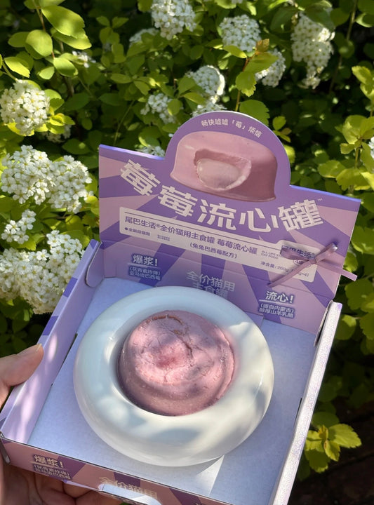 [FurryTail] Rabbit & Açaí Berry Lava Cake Cat Wet Food