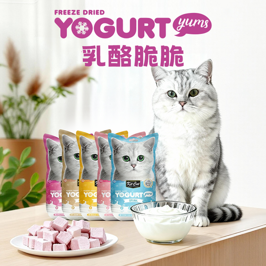 Kit Cat Cheese Crunchy Treats乳酪脆脆