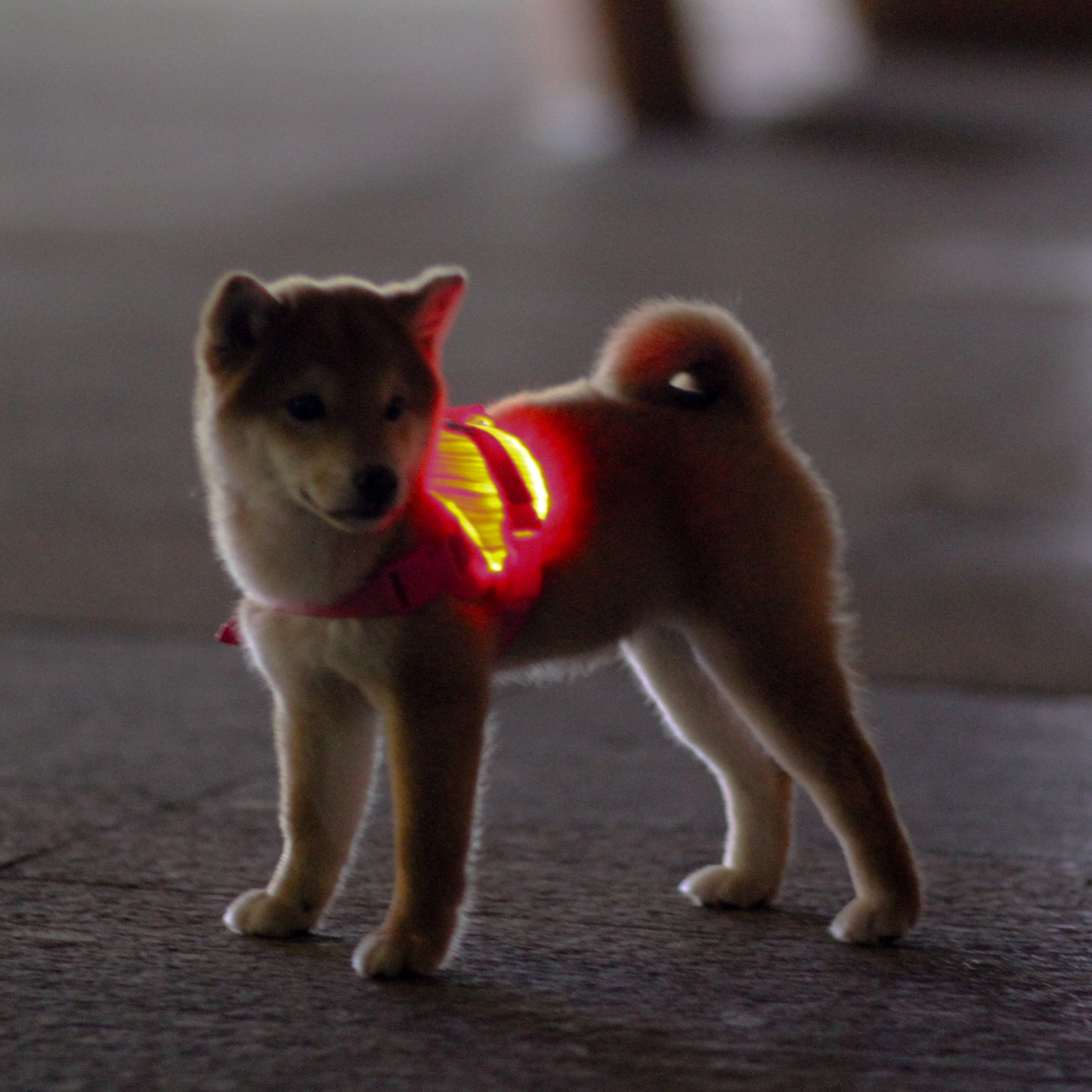 MOZ PAWTY · BEACON SevenGlow Harness – 7 Colors · 11 Light Modes | LED Fiber-Optic Dog Harness