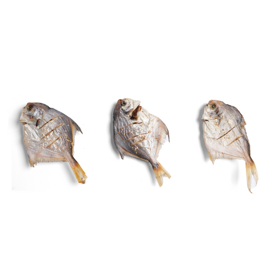 [DUDU Pure Freeze-Dried]  Silver Pomfret