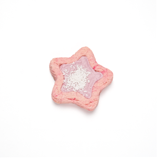[DUDU Handcrafted] Colourful Star Glazed Biscuit