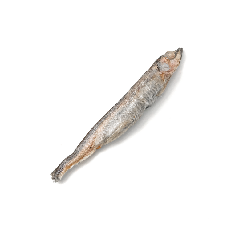 [DUDU Pure Freeze-Dried] Norwegian Capelin