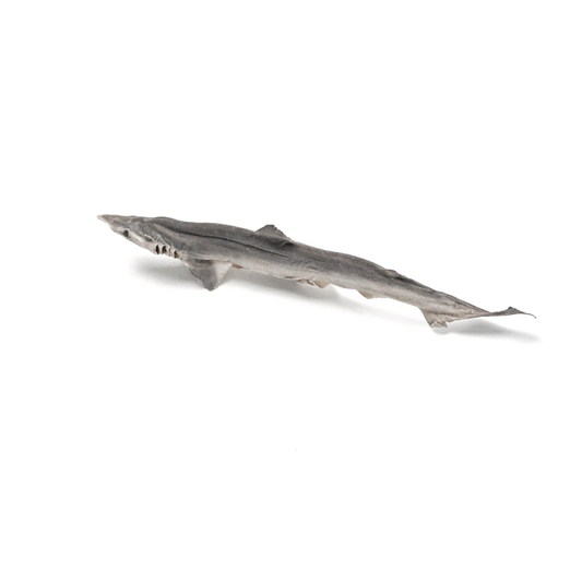 [DUDU Pure Freeze-Dried] Shark