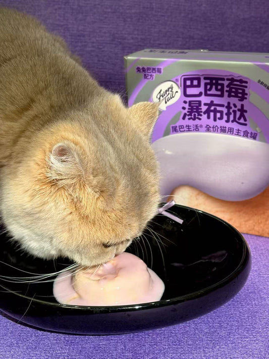 [FurryTail] Blueberry Cream Tart 巴西莓瀑布挞