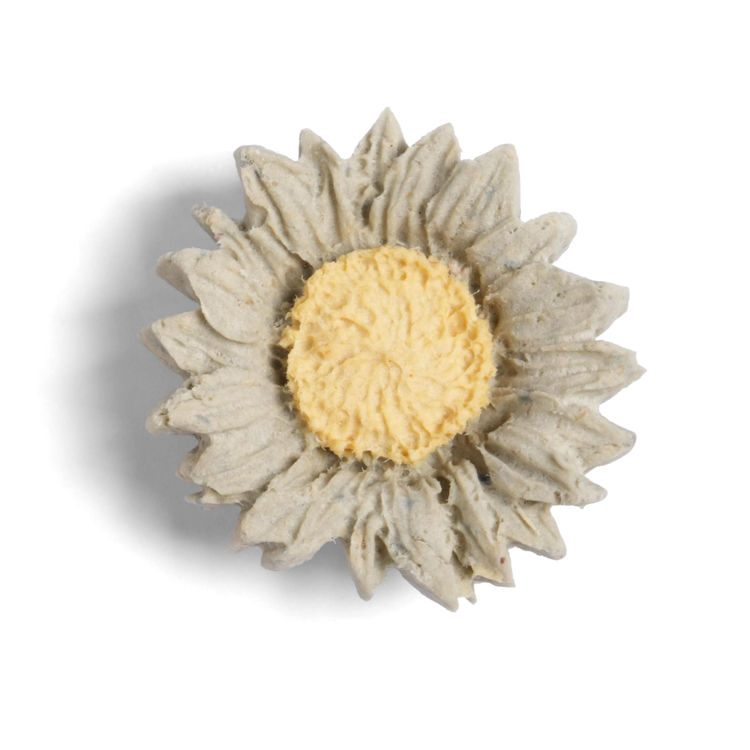 [DUDU Handcrafted] Daisy Cheese Crunch