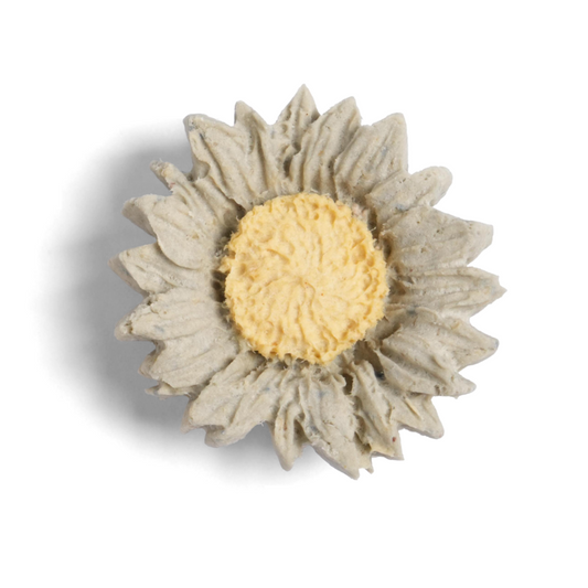 [DUDU Handcrafted] Daisy Cheese Crunch
