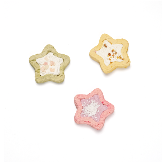 [DUDU Handcrafted] Colourful Star Glazed Biscuit