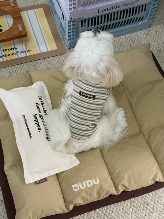 【DUDU Handcrafted】Island Coco · Soft Knit Raglan Pet Tee