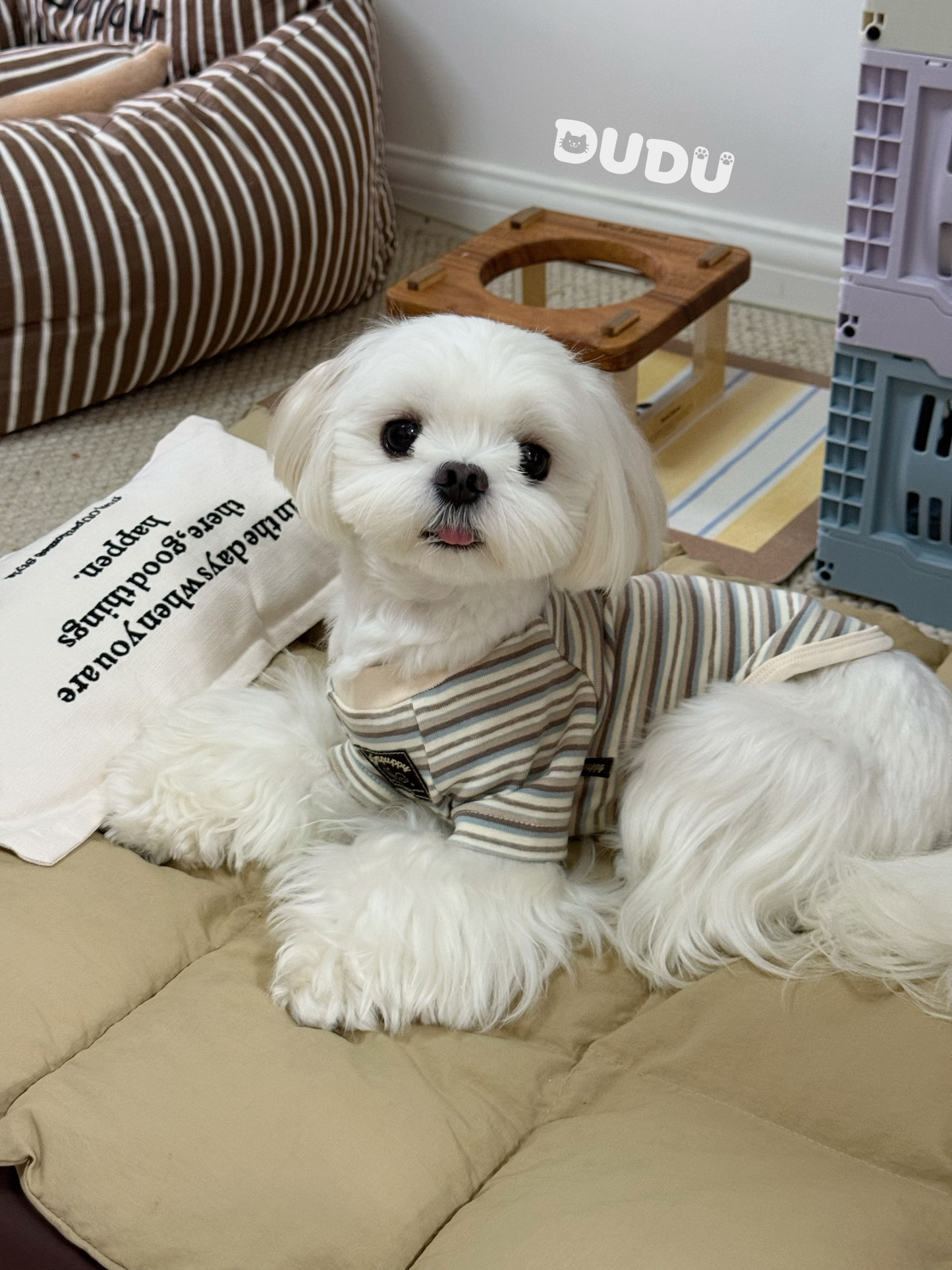 【DUDU Handcrafted】Island Coco · Soft Knit Raglan Pet Tee